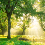 a landscape picture